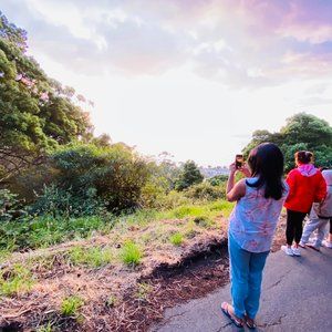 Meet your Posher, Suji